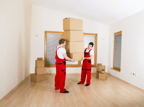 Modern document storage setup in Canningtown with organized folders